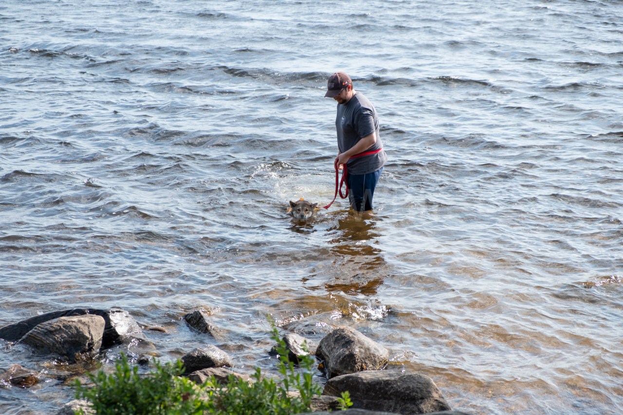 Algonquin Tea Lake_20180701-25