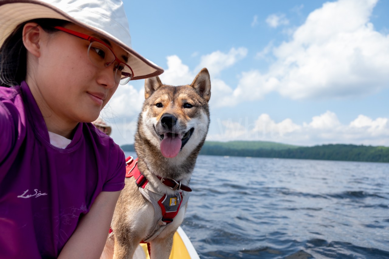 Algonquin Tea Lake_20180701-41