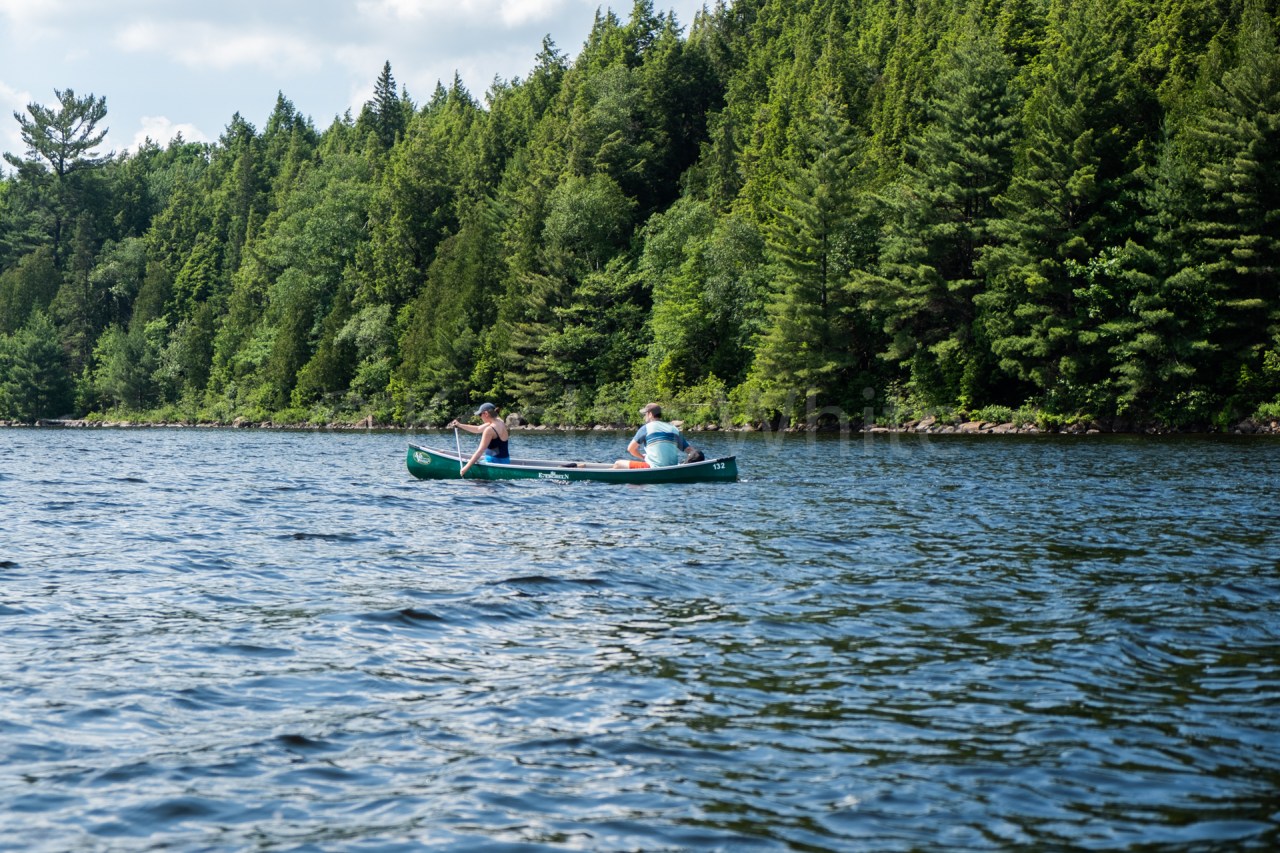 Algonquin Tea Lake_20180701-50