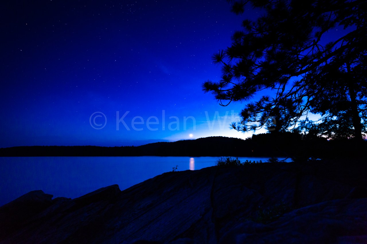 Algonquin Tea Lake_20180701-54